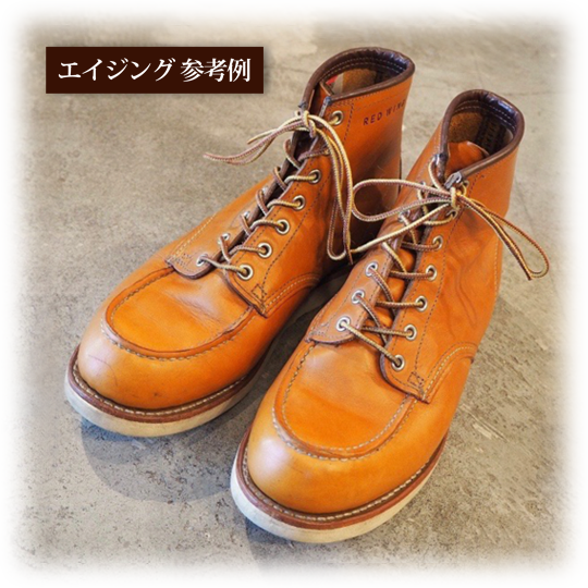 Redwing 9875 | hartwellspremium.com