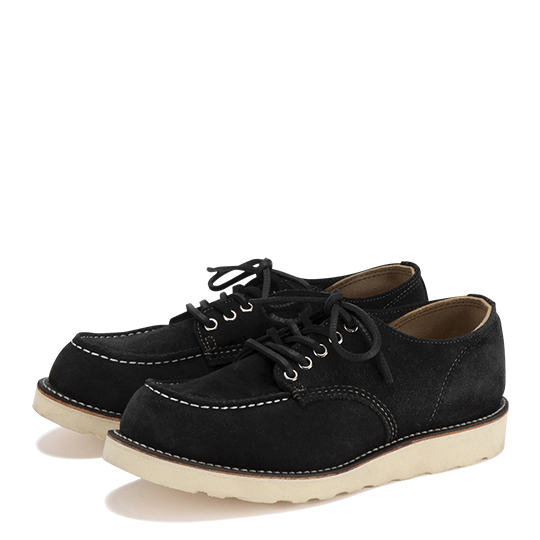 Irish Setter Oxford